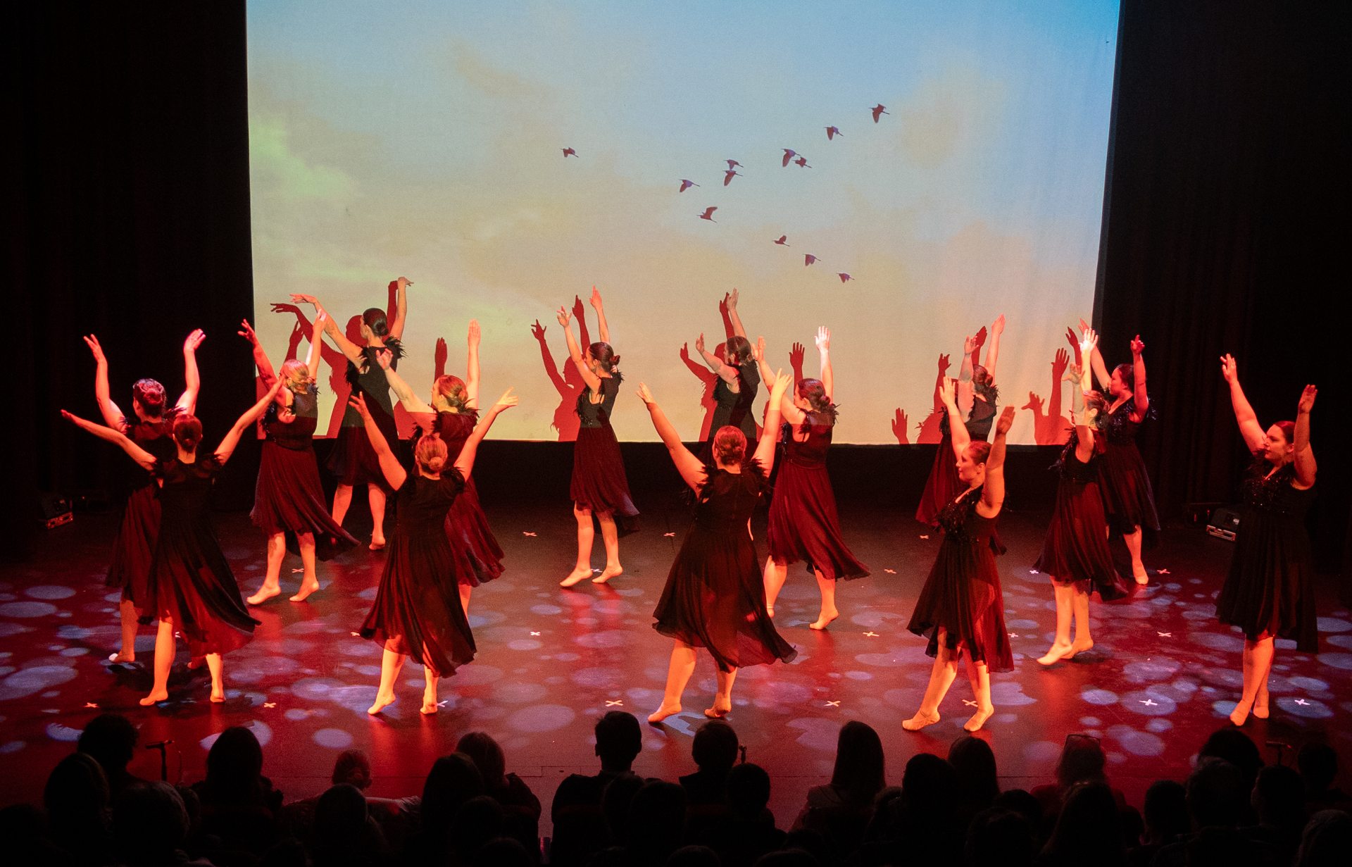 Classes: Adult Dance